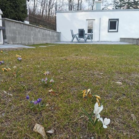 Ferienhaus Am Wald Wendehausen Ngoại thất bức ảnh