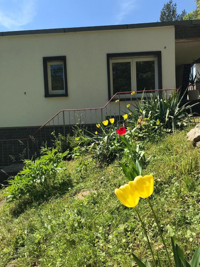 Ferienhaus Am Wald Wendehausen Ngoại thất bức ảnh